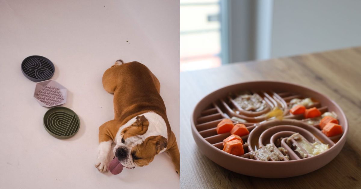 miska proti hltaniu pre psov